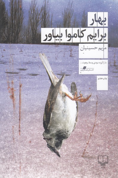 بهار برایم کاموا بیاور (چشمه)