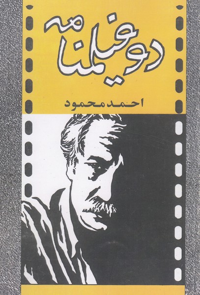 دو‌فیلمنامه(معین)