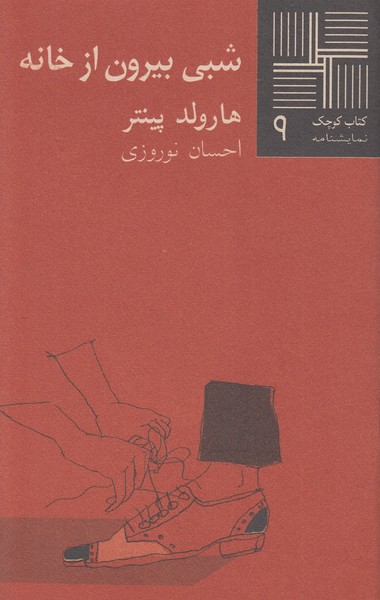 شبی‌بیرون‌از‌خانه(نیلا)